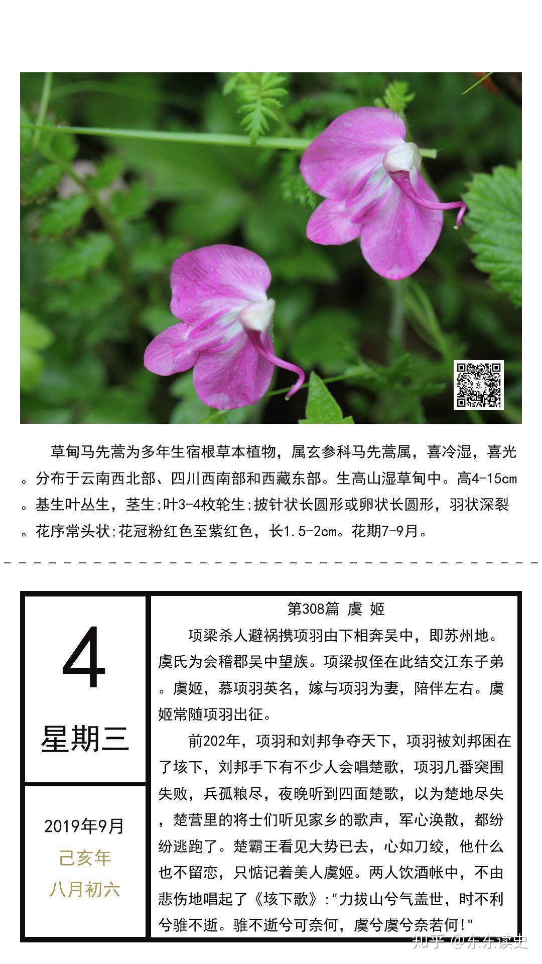 第308篇 虞姬 - 知乎