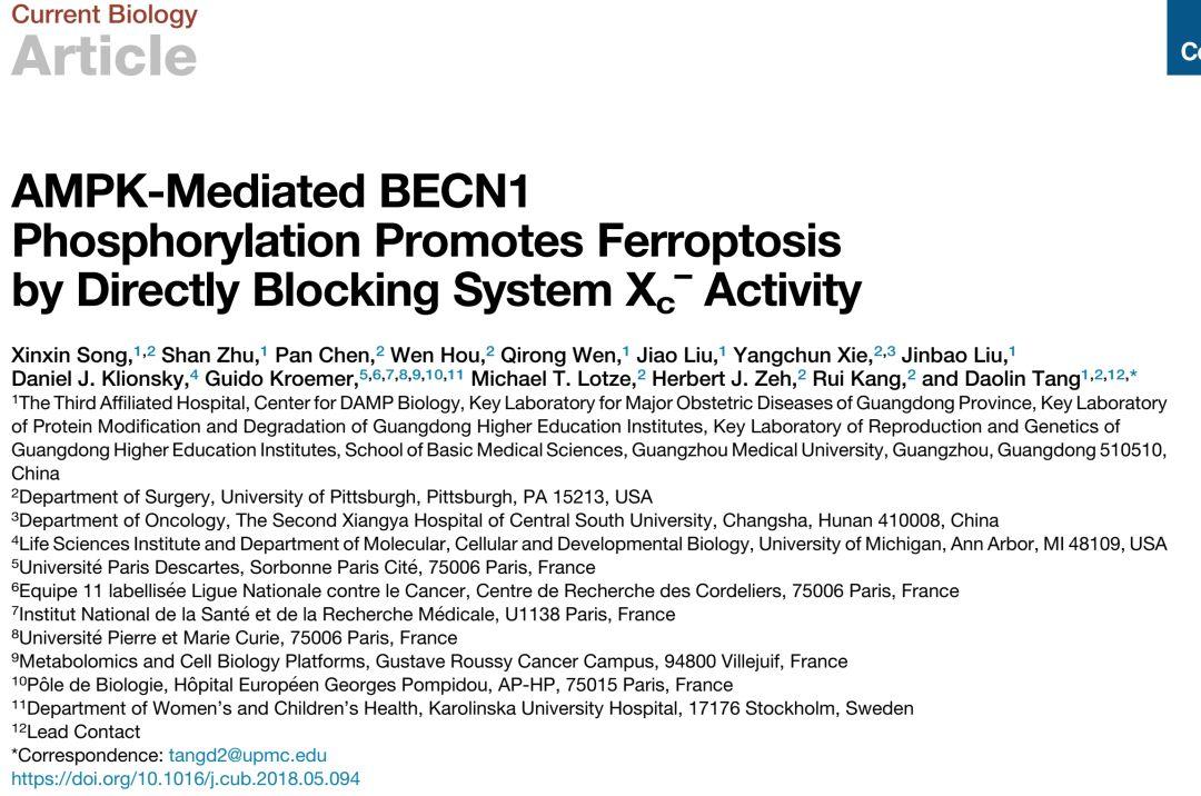 唐道林组报道自噬调控蛋白促进铁死亡的分子机制黄鹏羽点评