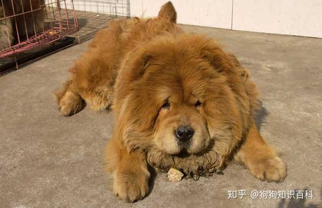 v2-67fa0badb45ce949705485191195de8e_r.jpg