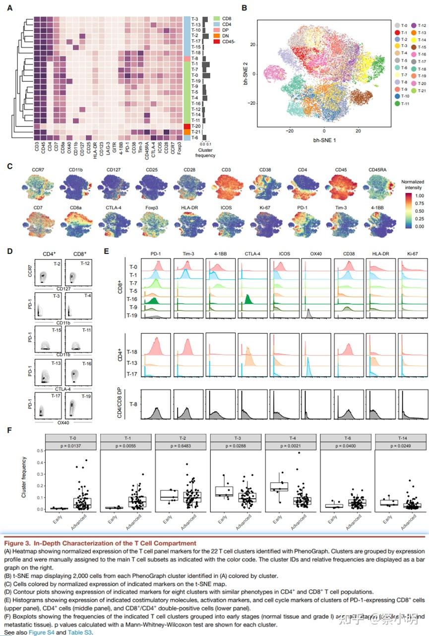 Nid237 an immune atlas of clear cell renal cell carcinoma 