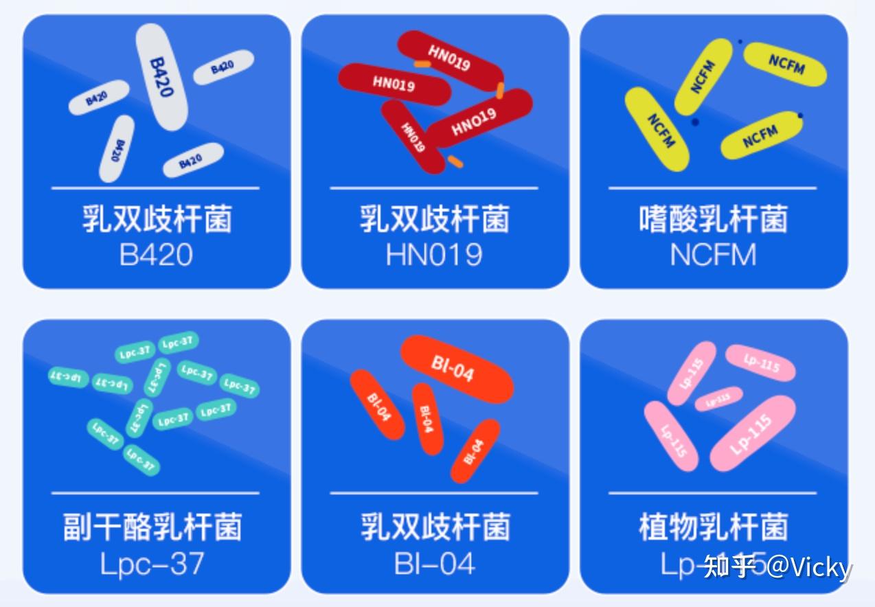 其中的乳双歧杆菌b420,还有一个昵称叫"瘦子菌",可以减少热量的摄入
