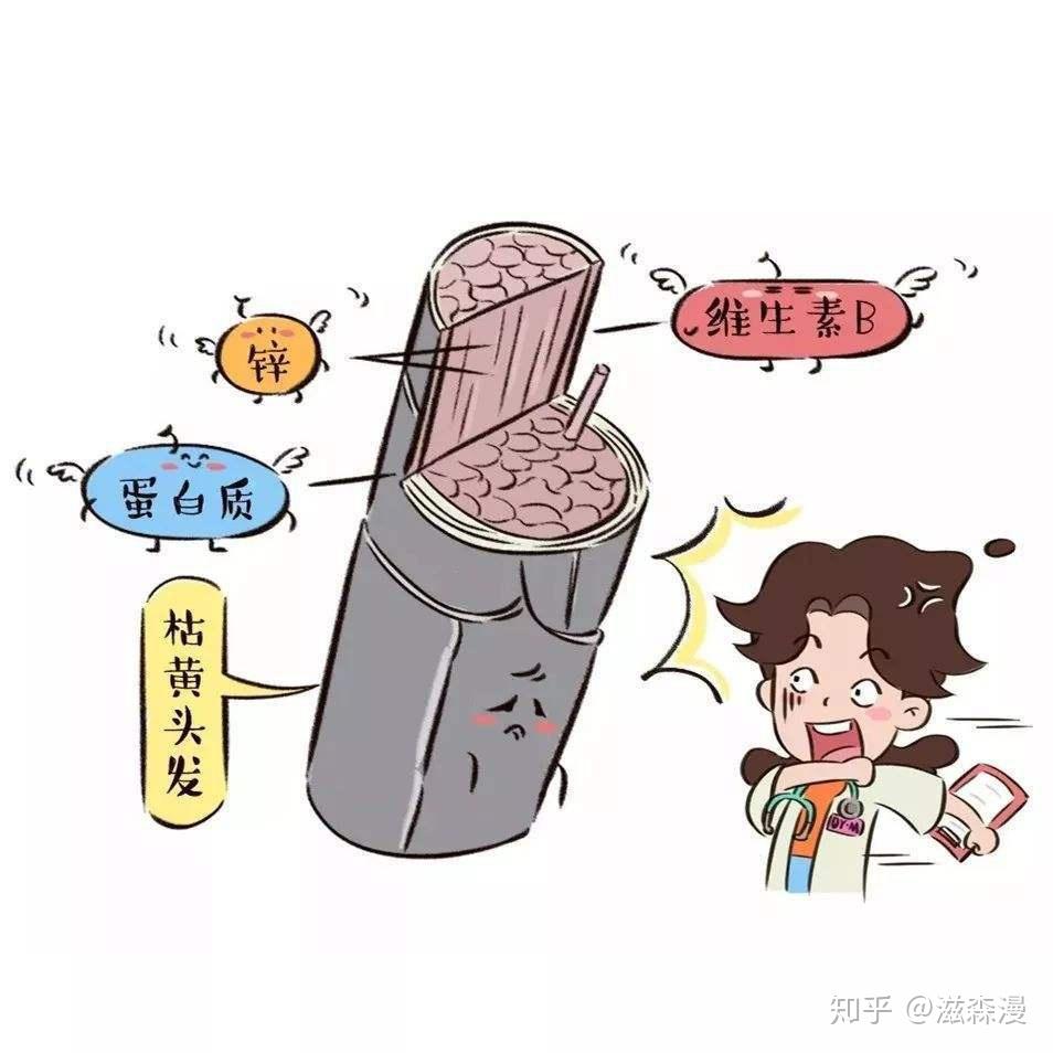 滋森漫毛髮康1,作息:休息時間要規律且充足.