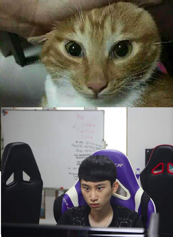 doinb 除了功能性英雄,瑞兹和天使,还有什么能 c 的英雄吗?