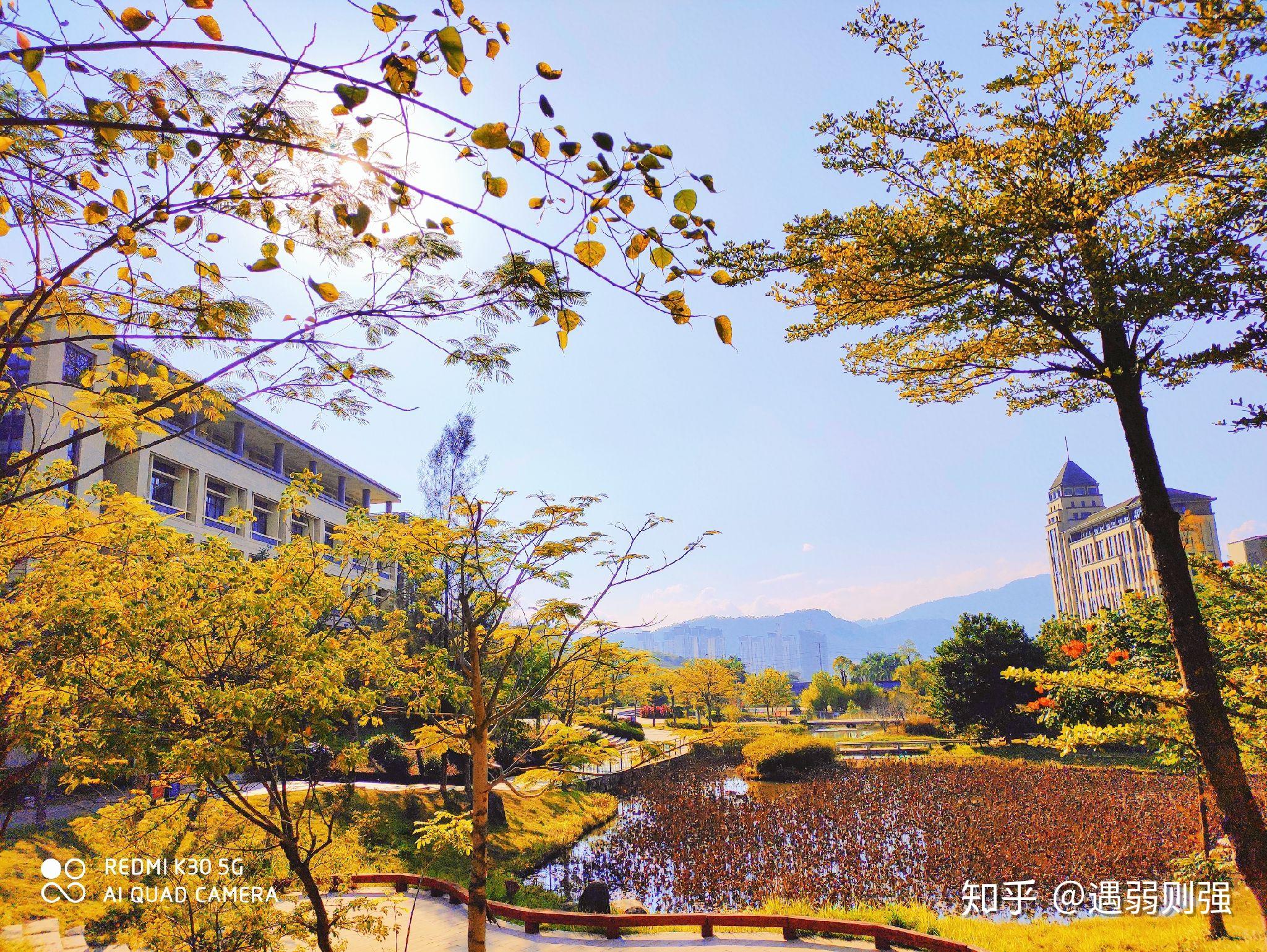 在福建農林大學安溪校區就讀是什麼體驗