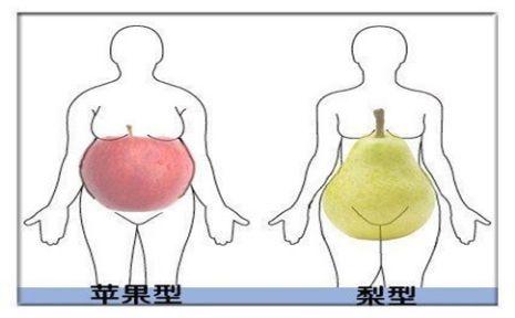 苹果型身材和梨形身材，如何减肥？