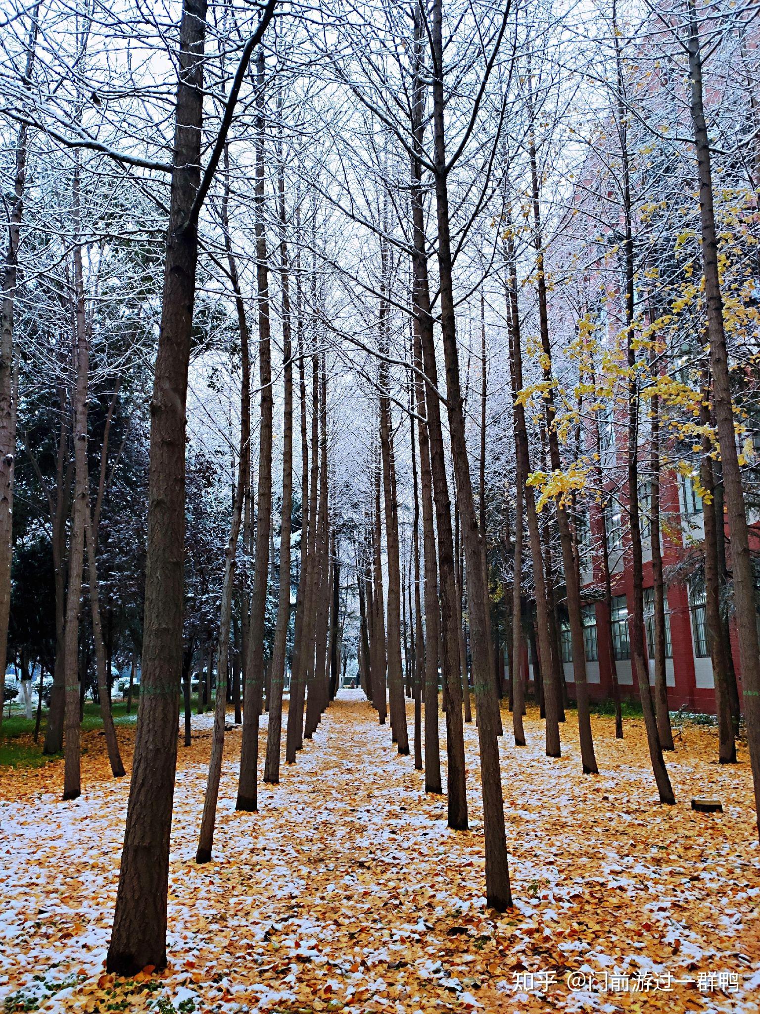 盆什么不成语_成语故事图片(3)