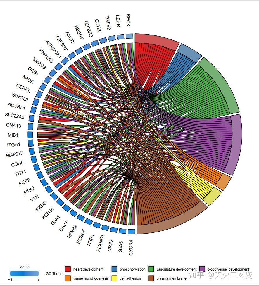 R入门第十六天，弦图 - 知乎