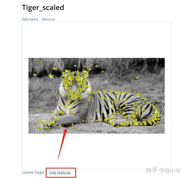 ar系列学习(二)——ar识图动物模型 - 知乎