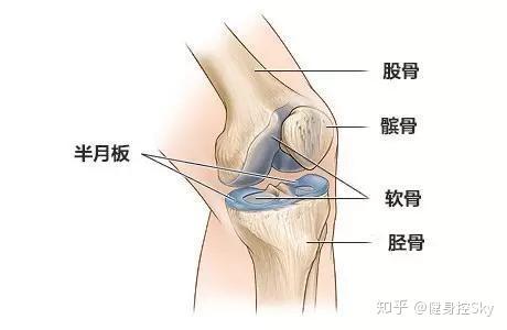 运动中不小心软骨损伤 千万不要等病发了再补救 知乎