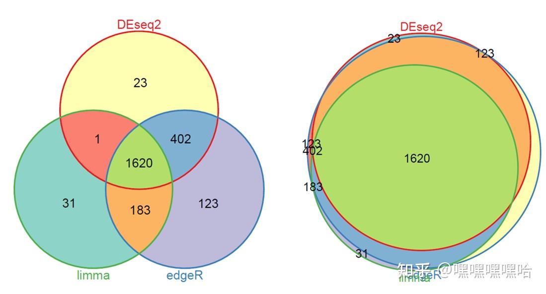 RNAseq入门实战（五）：差异分析——DESeq2 edgeR limma的使用与比较 知乎
