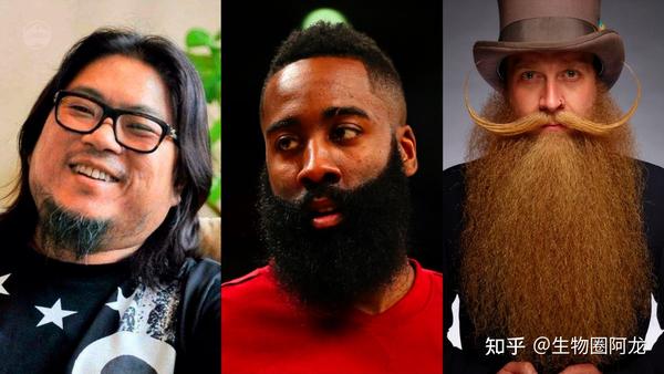 气场不够胡子来凑?男人留胡子原来大有用处,怎样留胡子更有魅力? - 知乎