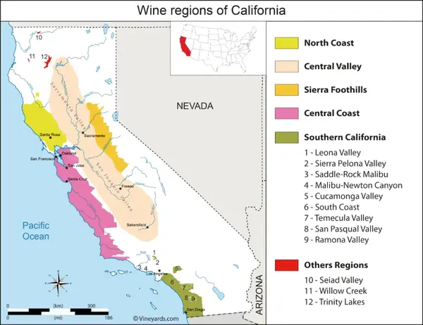 Largest Wine Producers In California