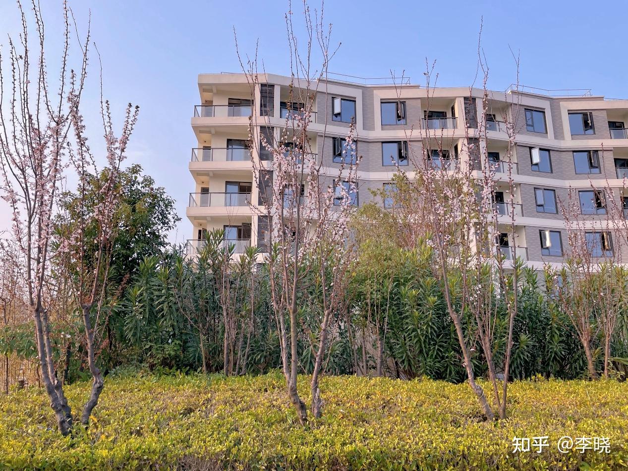 上海青浦区比较好的养老社区是哪家？有住过的可以详细说说吗？ - 知乎