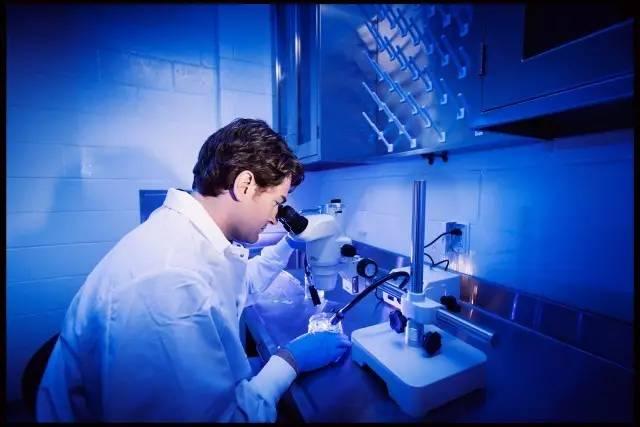 去纽芬兰纪念大学读研的六个理由