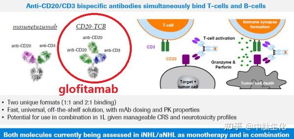 CD20xCD3双特异性抗体！罗氏glofitamab治疗侵袭性淋巴瘤(DLBCL)：完全缓解率39.4%! - 知乎