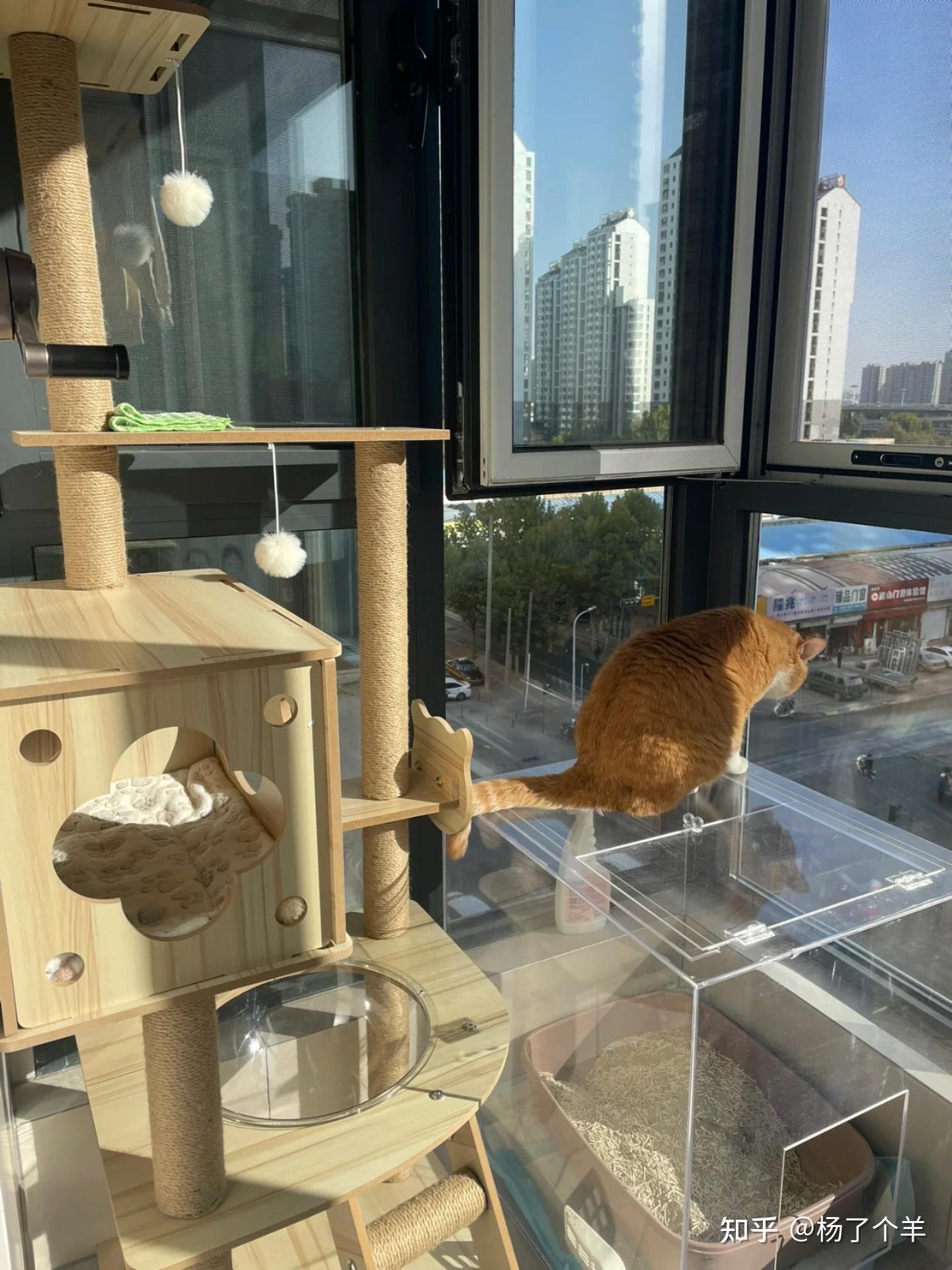 不想买智能猫砂盆的铲屎官们都看过来 🏻 - 知乎