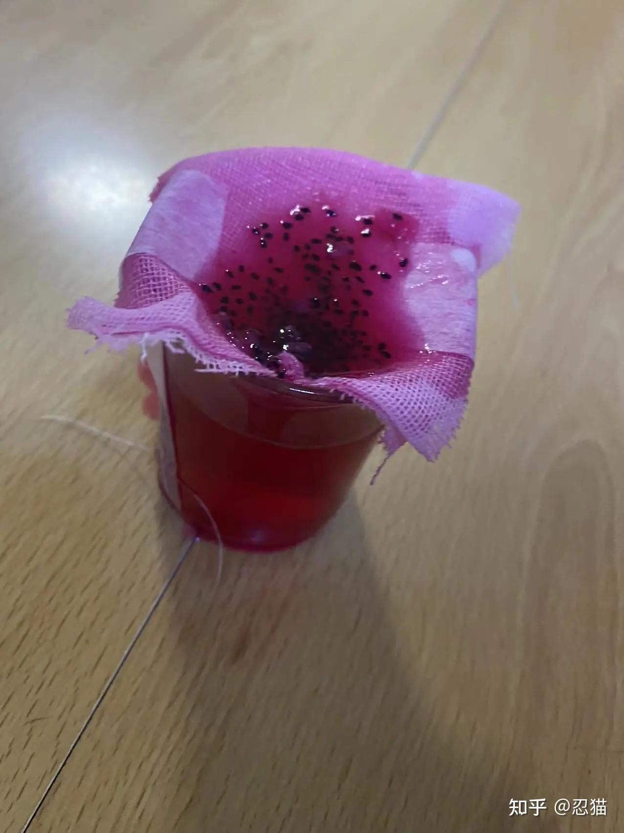 用水果自制钢笔墨水diy