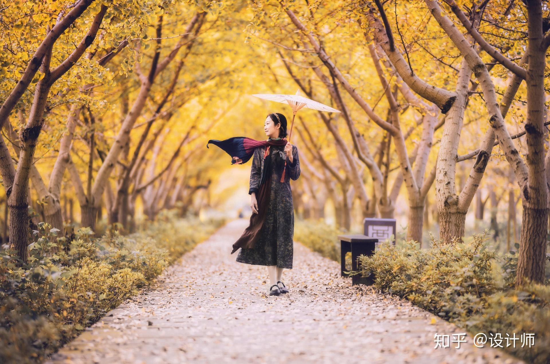 7张图片讲解7个拍照技巧让中老年人的秋叶人像更唯美有意境