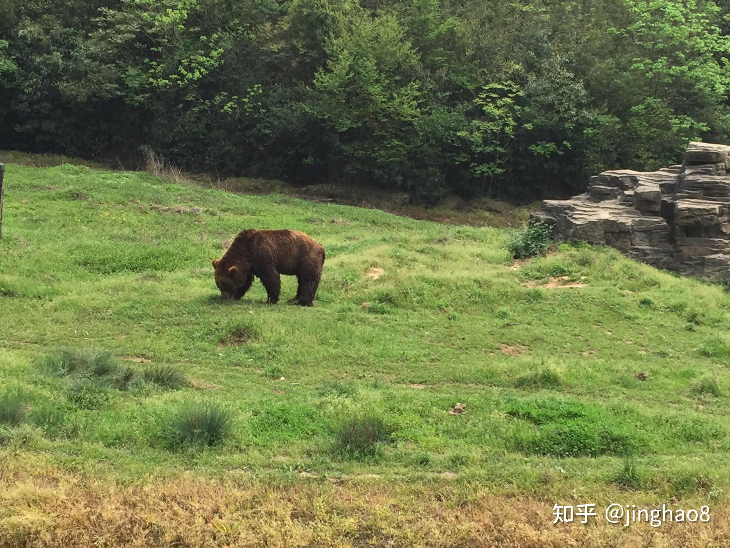 杭州野生動物園