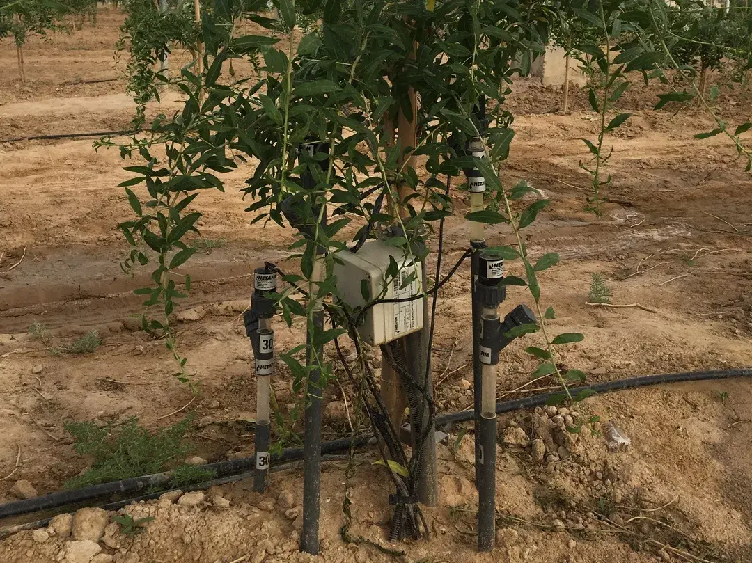 完整的水肥一体化滴灌系统到底长什么样