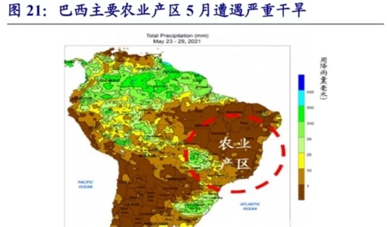 巴西大旱百年一见有何影响