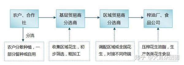 花生在产业链中的流通情况 知乎