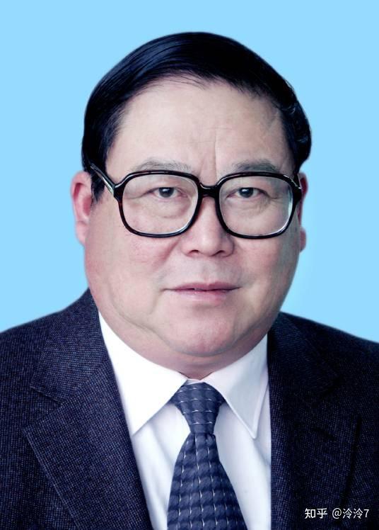 中国工程院能源与矿业学部院士简介八