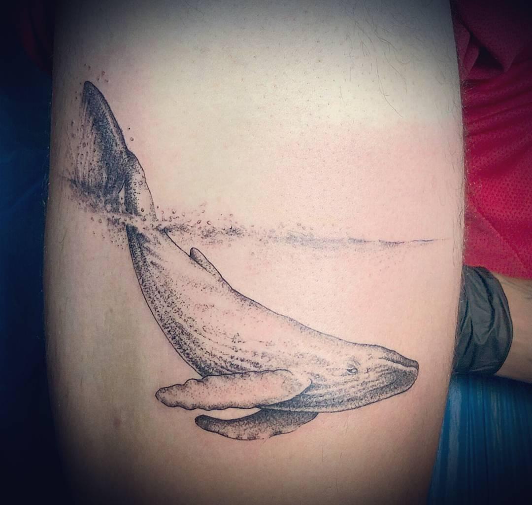 发现设计之美_26. 鲸鱼Tattoo - 知乎