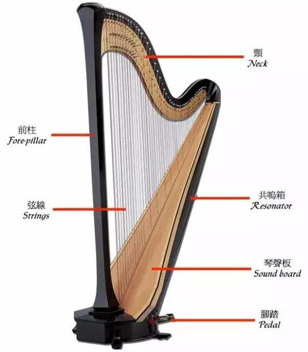 竖琴是打击乐器吗 竖琴是打击乐器吗 桃丽网 竖琴是打击乐器吗 竖琴是打击乐器吗 桃丽网