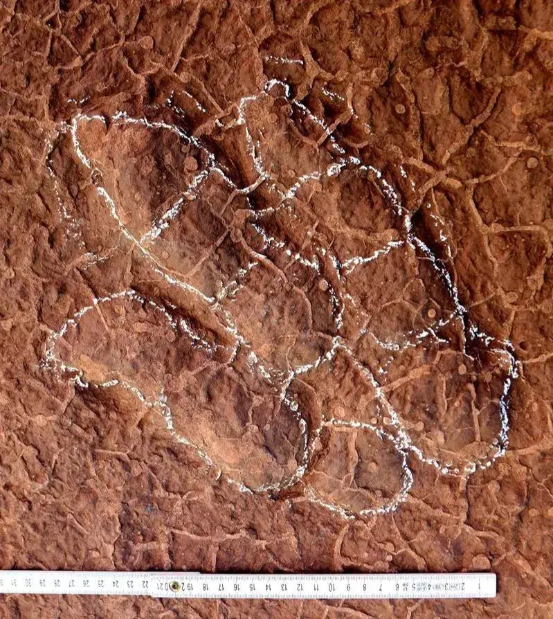 大雄的梦想实现了中国考古专家将新恐龙足迹命名为野比