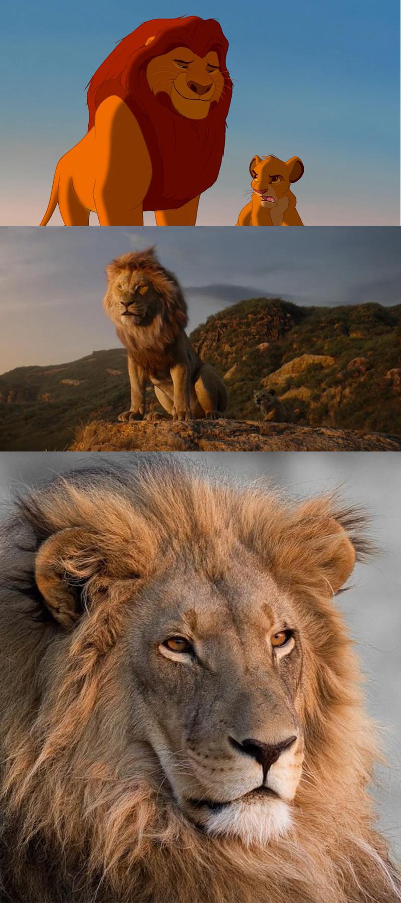 真人版电影狮子王2019好看吗