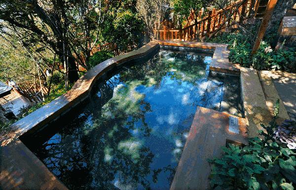 也是中国古代航海家郑和的故乡,古滇王国湿地公园是晋宁的名片,这里