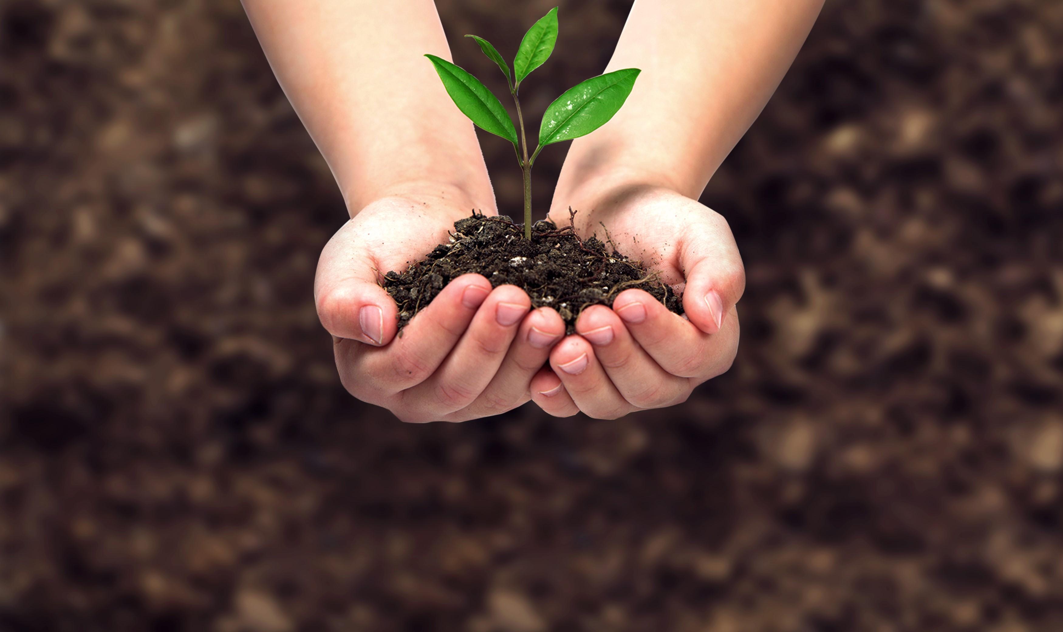 庖丁家丨用心种一棵树用爱熬一锅汤