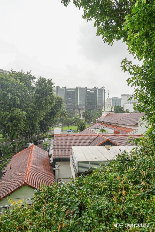 “新加坡绿肺”的福康宁公园,火遍INS的打卡圣地,楼梯都人满为患 - 知乎