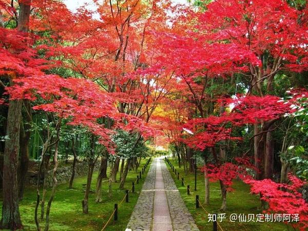 留宿日本寺庙是怎样的体验 有哪些寺庙值得一去 知乎