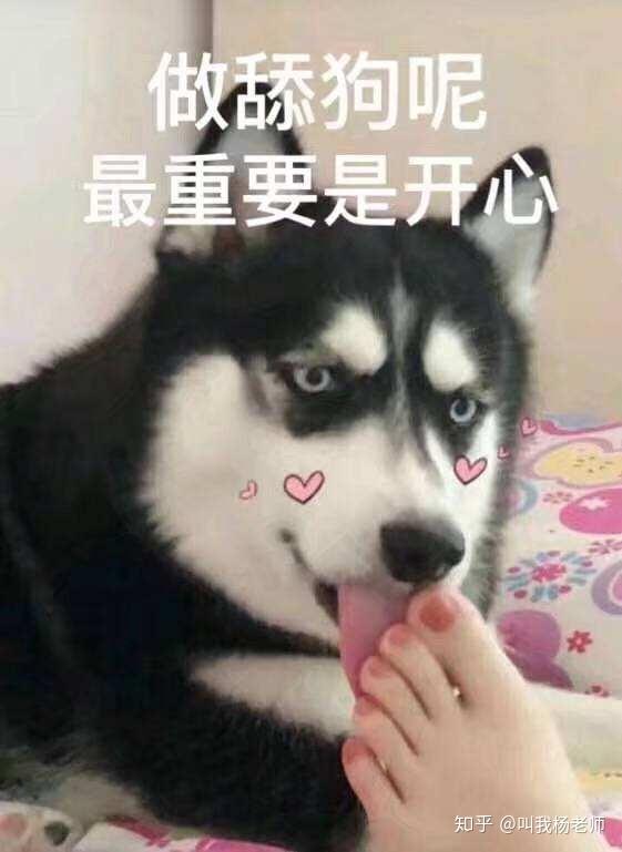 女生是怎样看待自己的舔狗的？ 知乎 9552