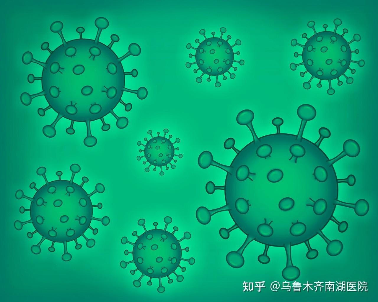 淋病奈瑟菌越来越难以治愈，中国地区抗药性高达19%！-搜狐大视野-搜狐新闻