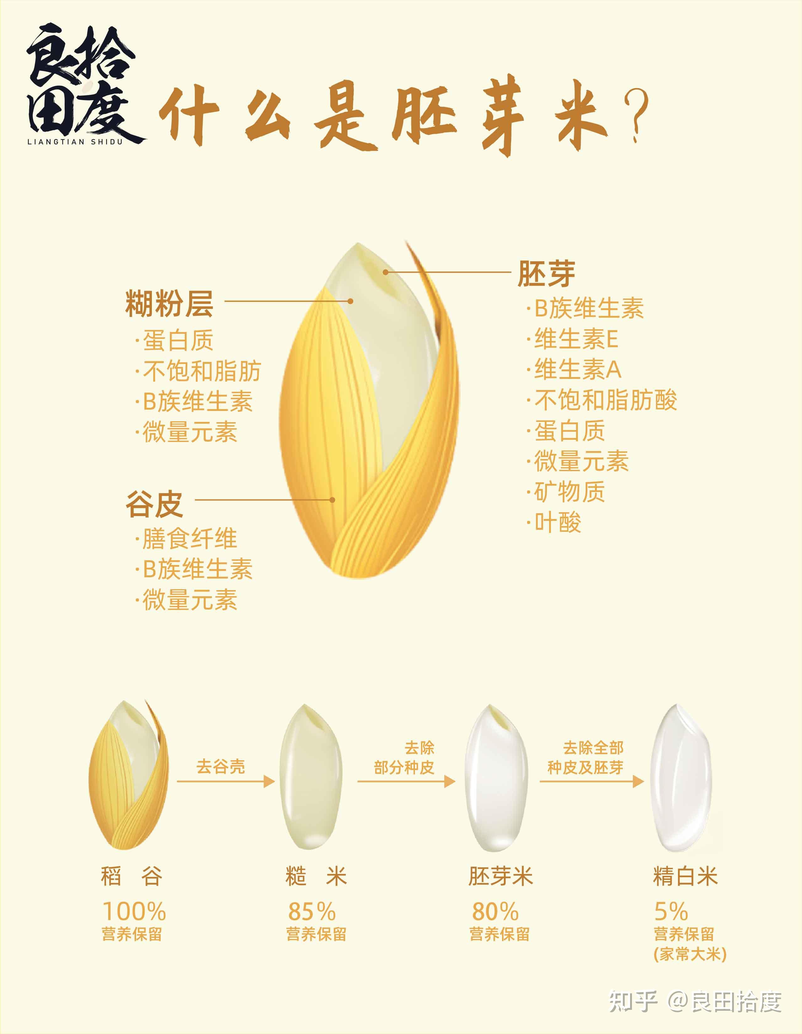 想问问宝妈们胚芽米和普通大米区别大吗