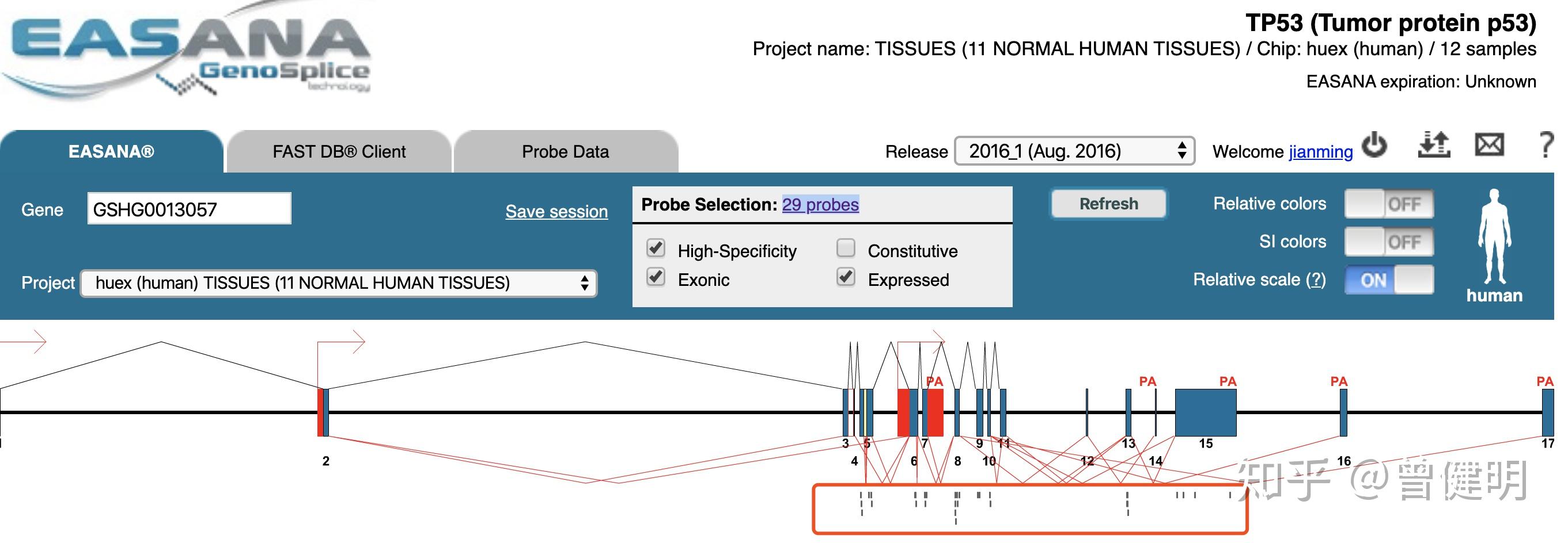 Affymetrix Human Gene 1.0 St Array