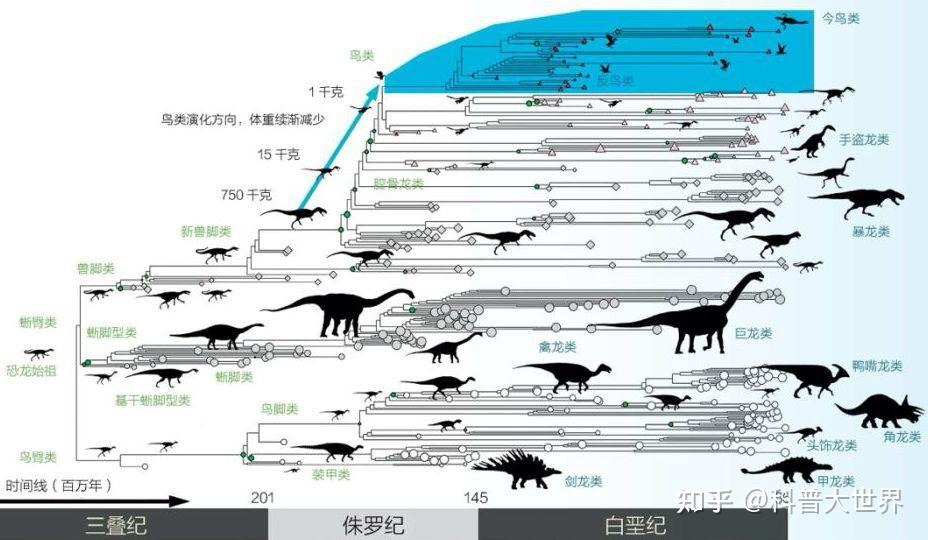 恐龙兽进化路线图片