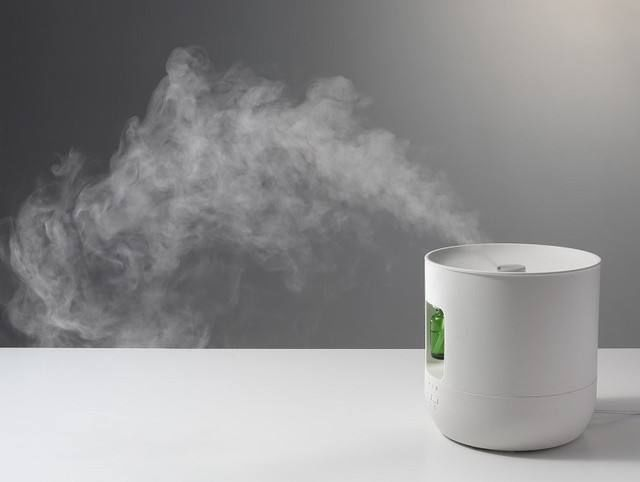 市面上的加湿器类型分为超声波加湿器,冷蒸发加湿器和热蒸腾加湿器.