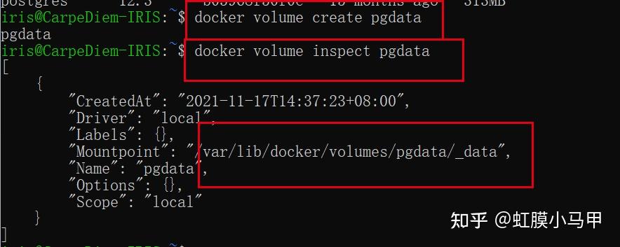 Pgv Docker 在Docker中安装Postgresql - 知乎