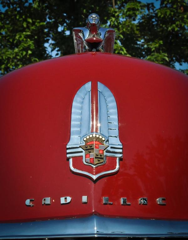 红色盾牌中间金色车标图片