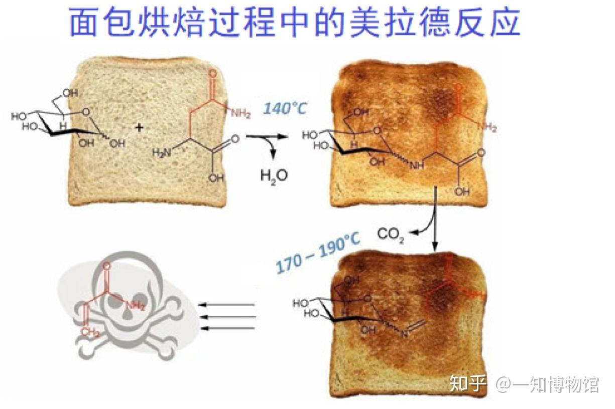 红烧肉中的化学:美拉德反应&焦糖化反应 知乎