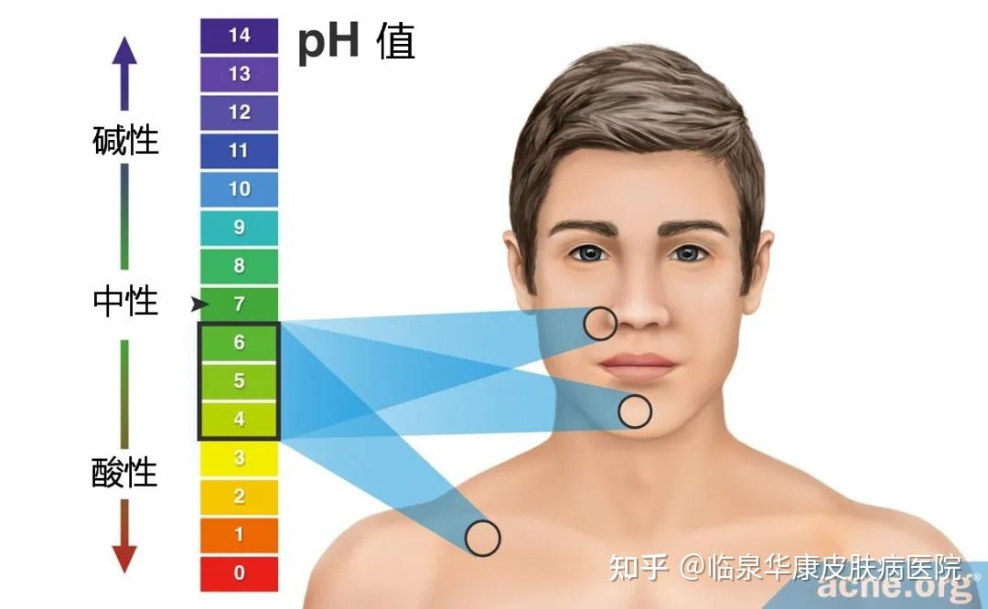 5之间.这意味着皮肤表面的酸碱度为弱酸性.