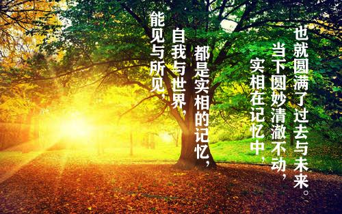 法界一微尘即包藏宇宙全貌