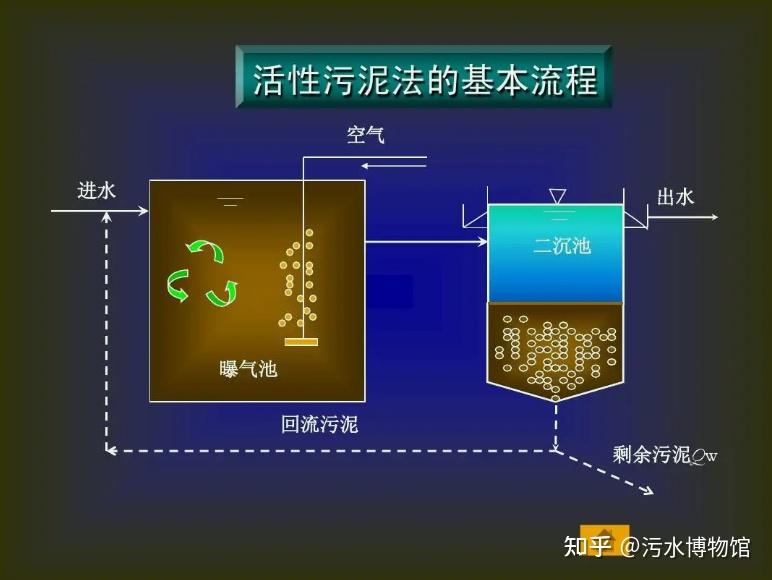 污水处理一千零一问(69):活性污泥法在污水处理领域有哪些用途?