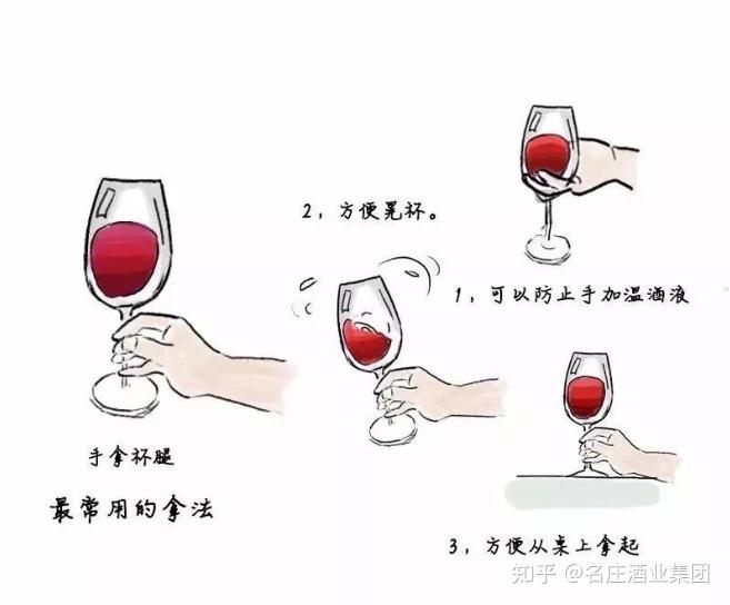 葡萄酒礼仪知多少?学会秒变懂酒达人 - 知乎