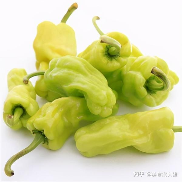 皱皮辣椒怎么做好吃？ - 知乎
