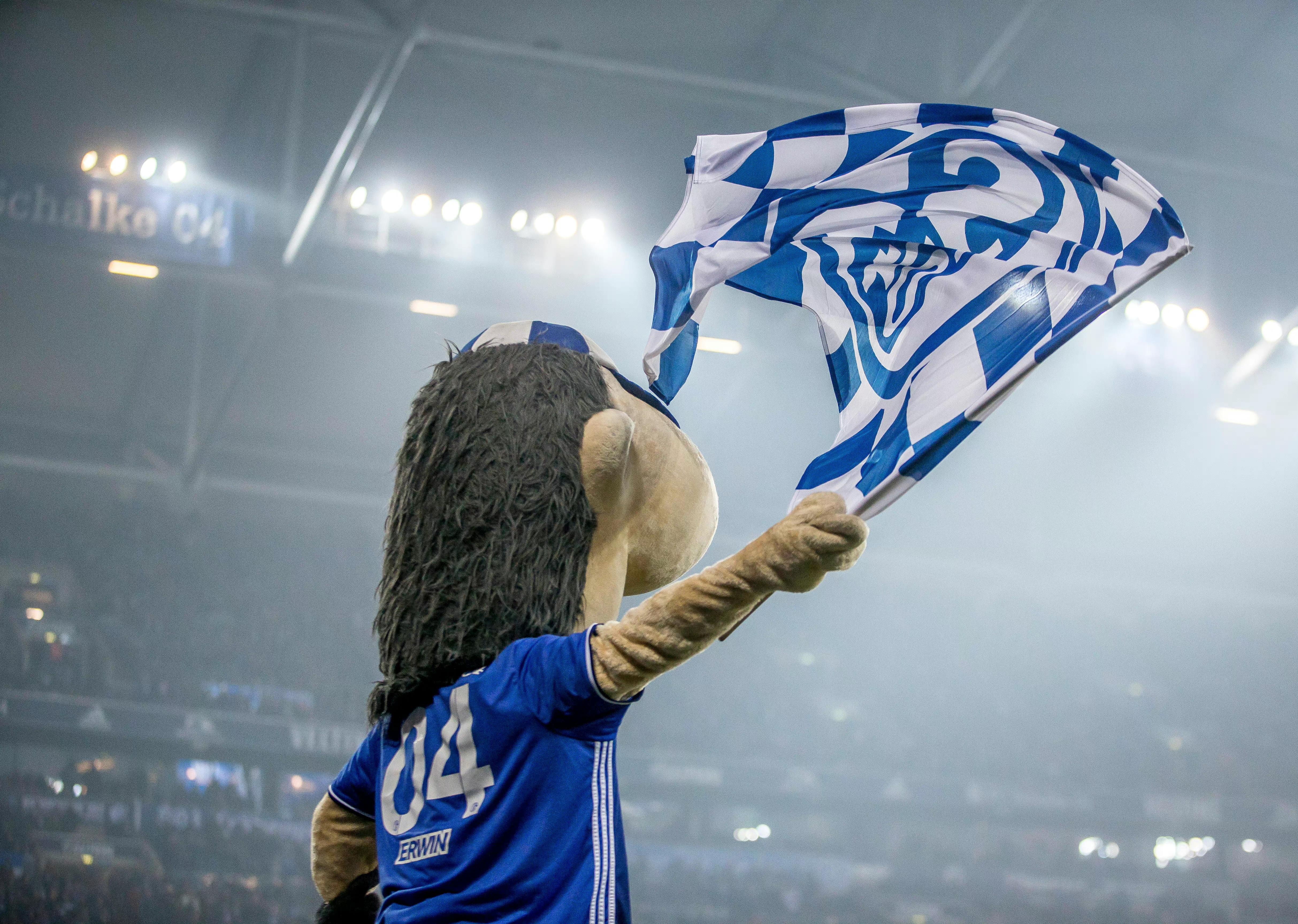 还记得那位沙尔克04球迷吗? - 知乎